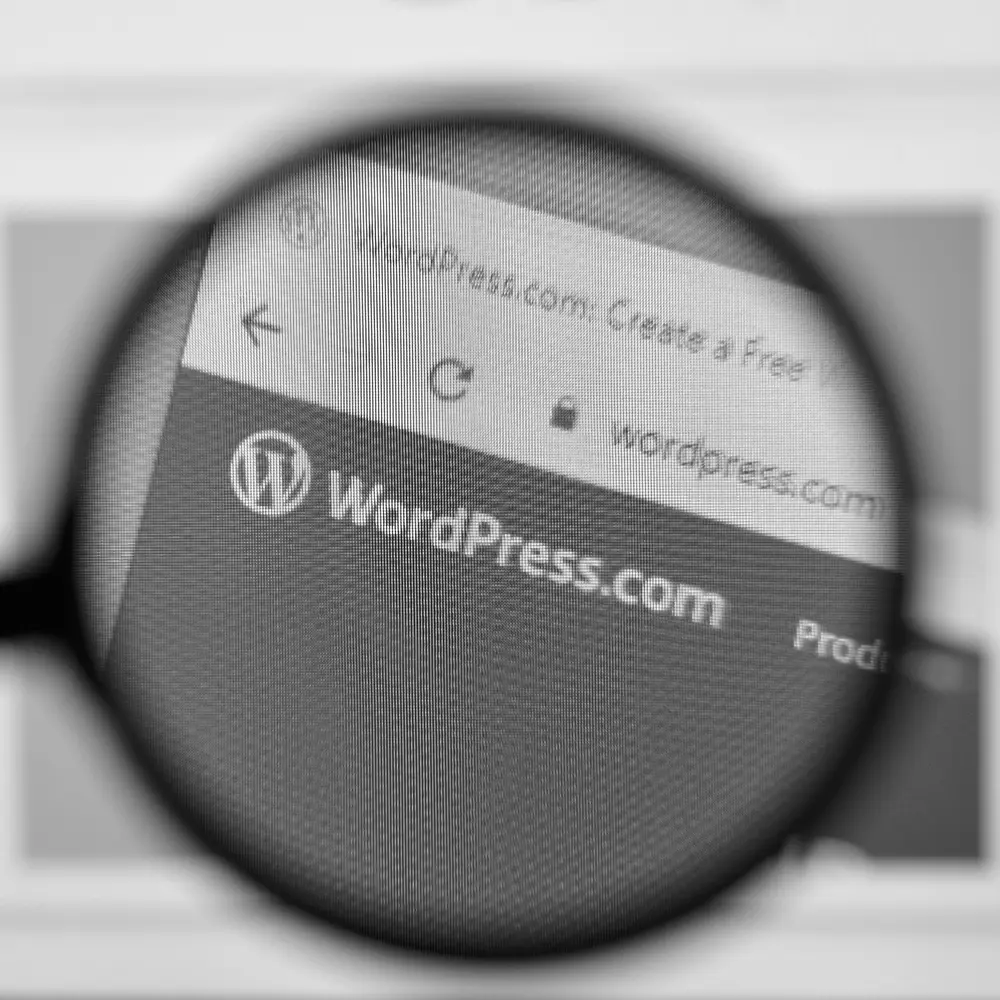 홈페이지제작 비용