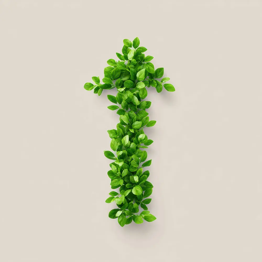 워드프레스 블로그 만들기